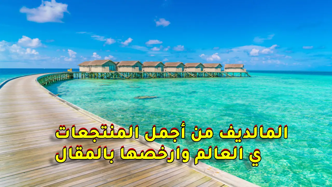 أرقى وأرخص منتجعات في المالديف